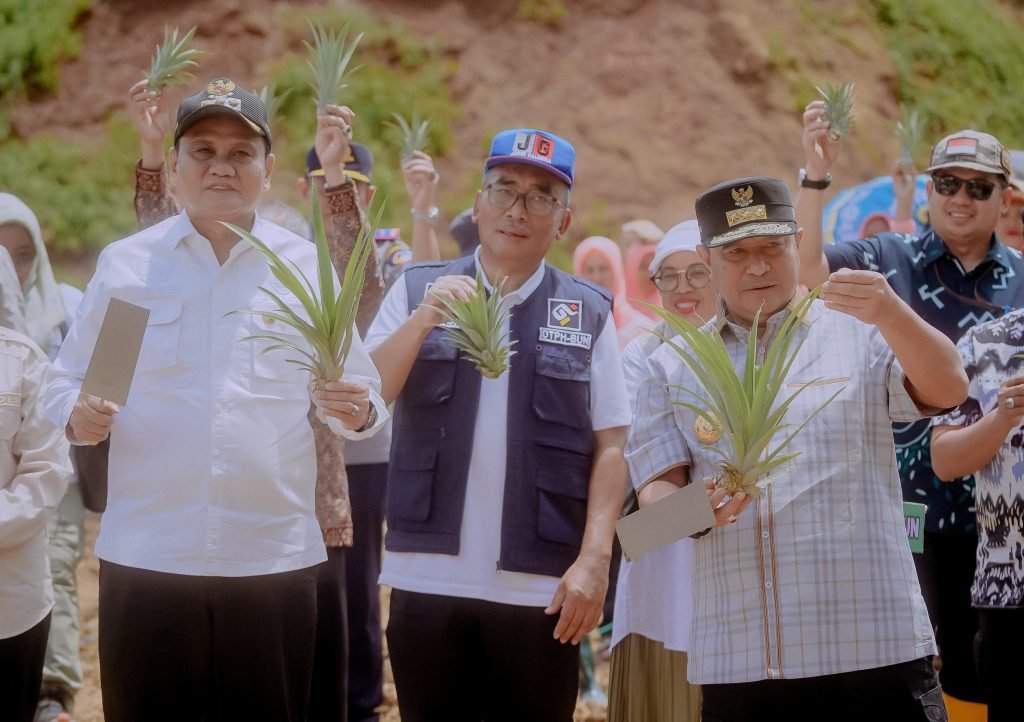 Bupati Barru dampingi Pj Gubernur Sulsel Panen Nanas di Desa Jangan Jangan Kec.Pujananting Kab.Barru