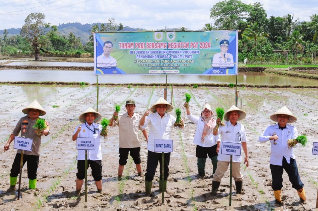 Bupati Barru bersama Staf Ahli Kementan Lakukan Tanam Padi Perdana