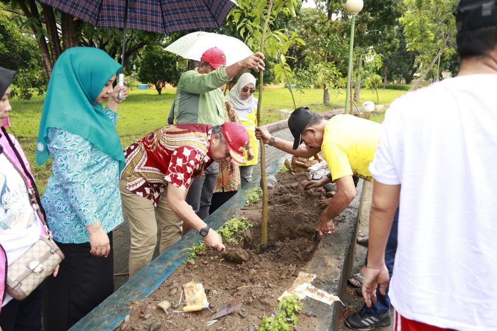 Tabebuya Hiasi Kota Barru: Wujud Nyata Komitmen Pemkab terhadap Lingkungan